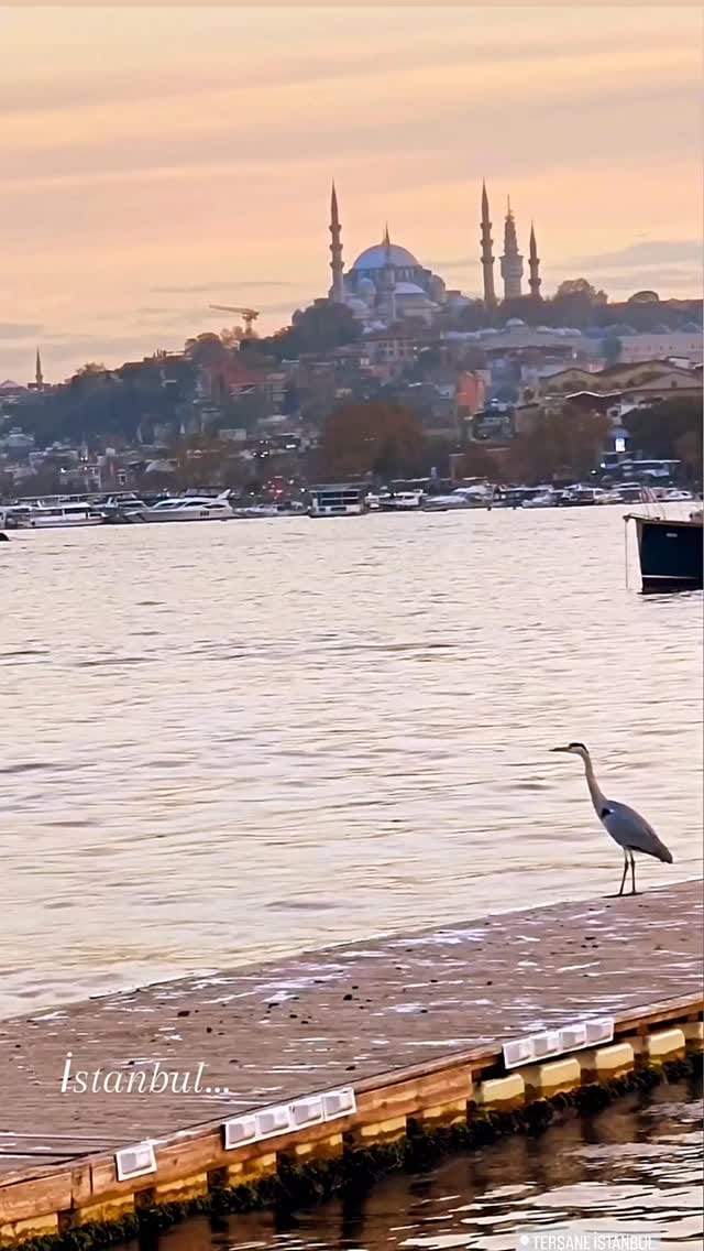 Post 1 by mali özyön on Instagram (video)