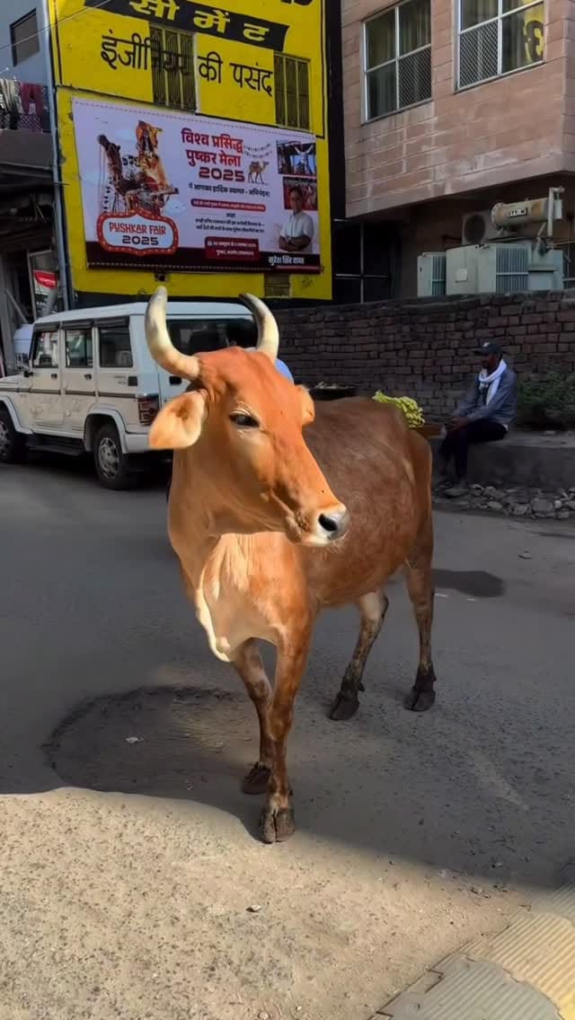 Post 1 by TURKANA Moda boho chic on Instagram (video)