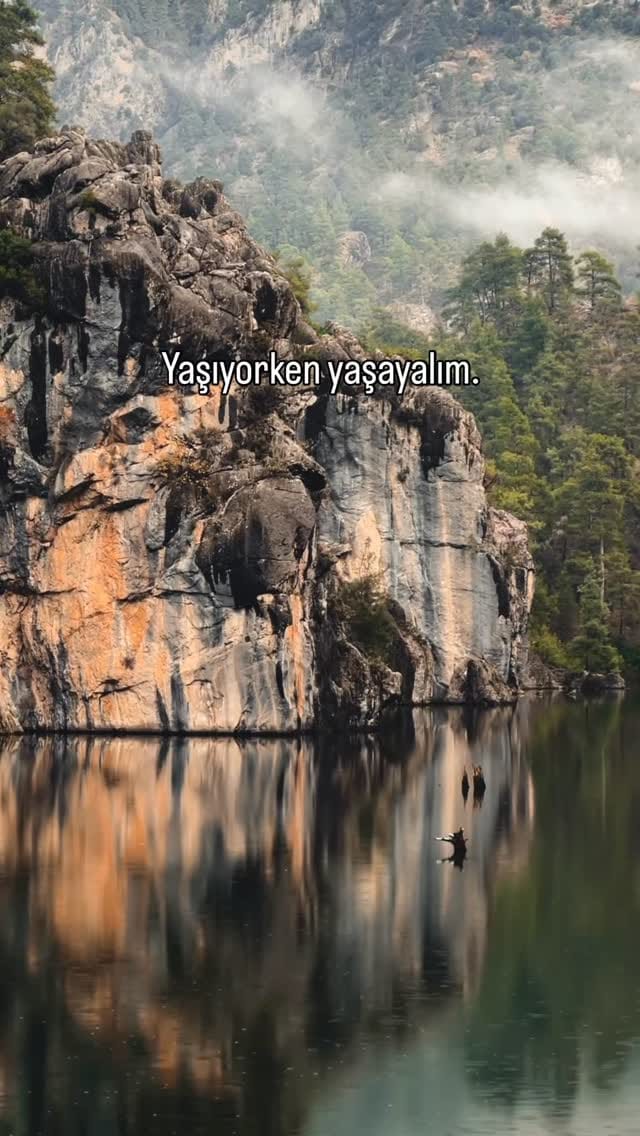 Post 1 by Dogadasin 🌲 on Instagram (video)