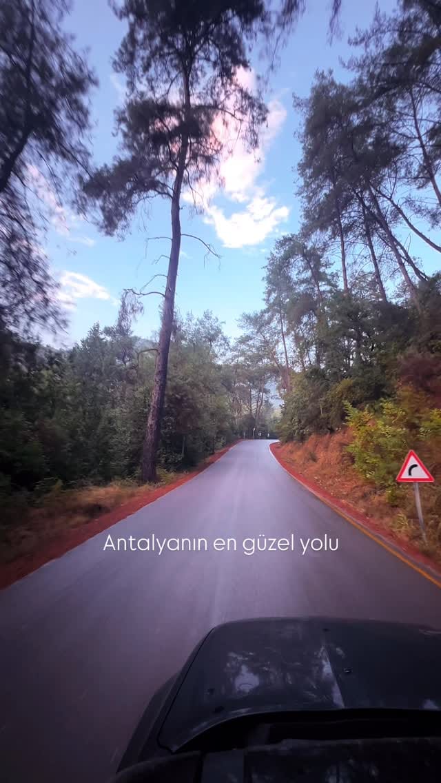 Post 8 by Dogadasin 🌲 on Instagram (video)