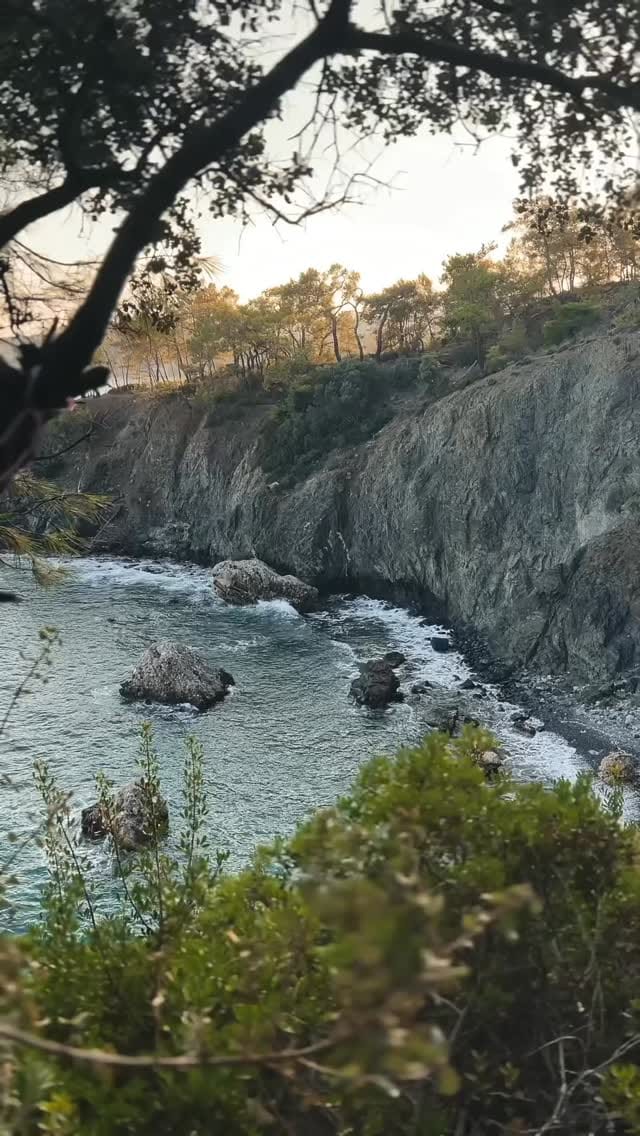 Post 3 by Dogadasin 🌲 on Instagram (video)