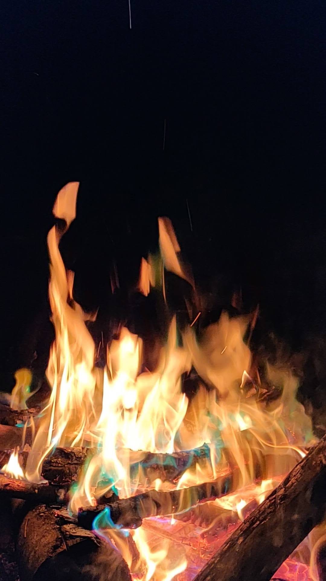 Post 6 by ɢᴇᴢᴇɴᴛɪᴘʟᴇʀ on Instagram (video)