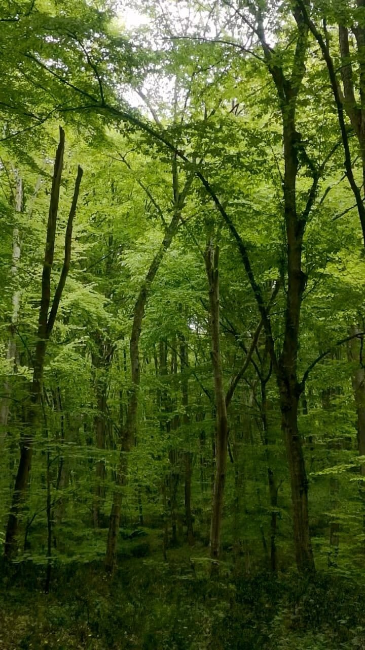 Post 4 by ɢᴇᴢᴇɴᴛɪᴘʟᴇʀ on Instagram (video)