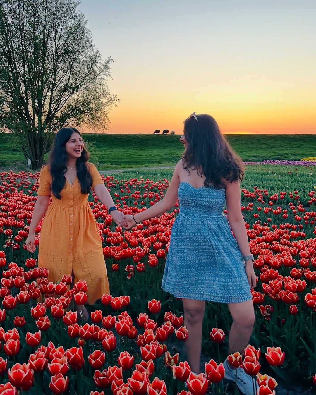 Post 1 by Barkha Doshi🌍🧘‍♀️ on Instagram (carousel)