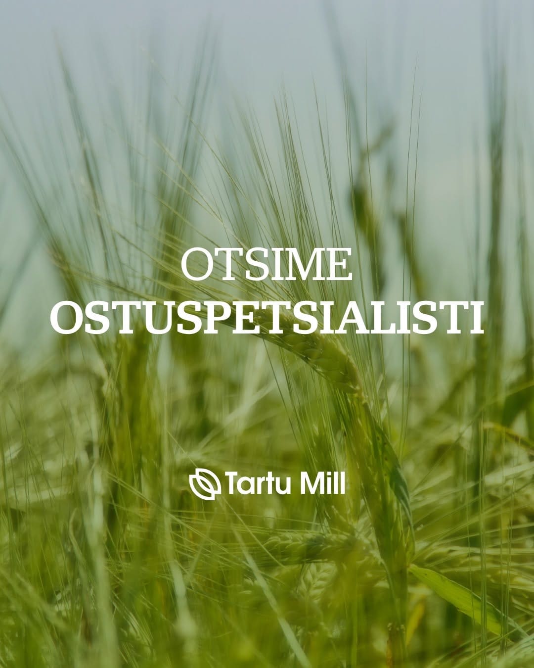 Post 3 by Tartu Mill on Instagram (image)