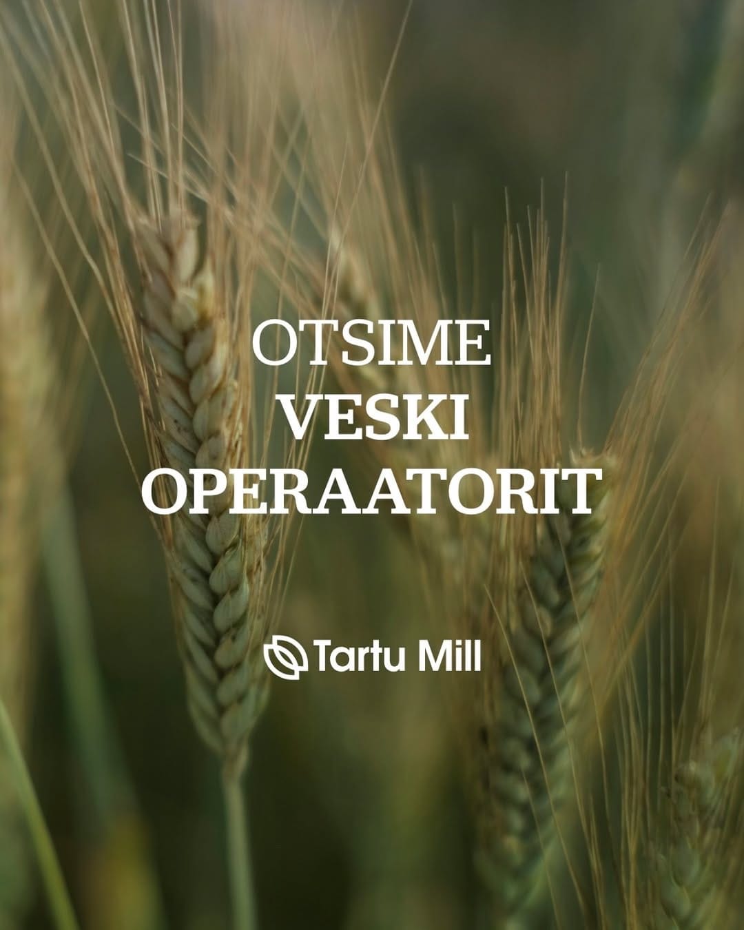 Post 6 by Tartu Mill on Instagram (image)