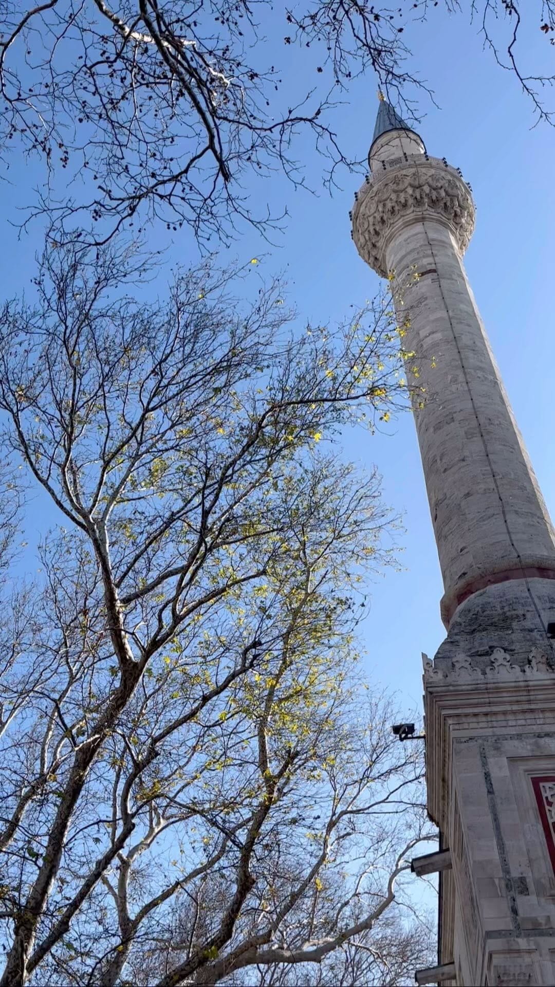 Post 7 by Lodger Travel on Instagram (video)