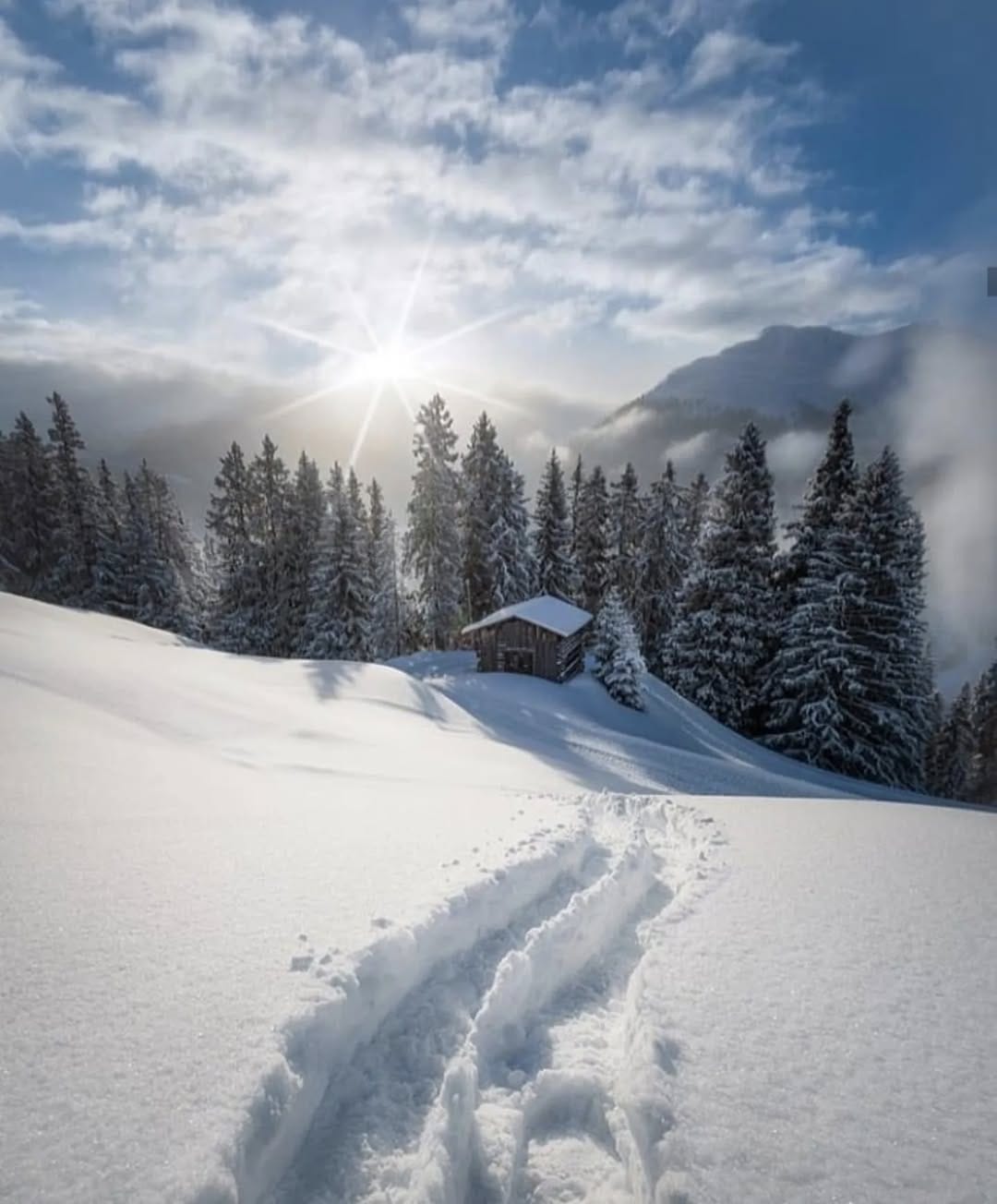 Post 3 by HEDI RIAHI on Instagram (image)