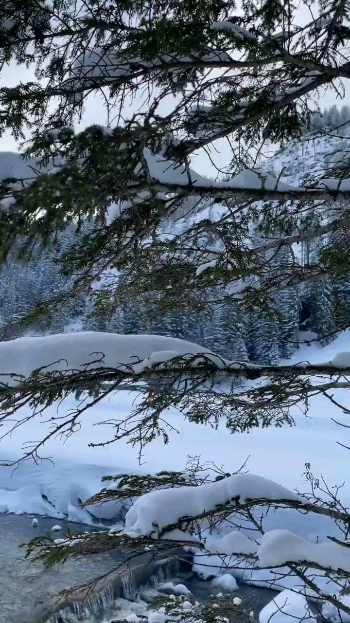 Post 10 by HEDI RIAHI on Instagram (video)