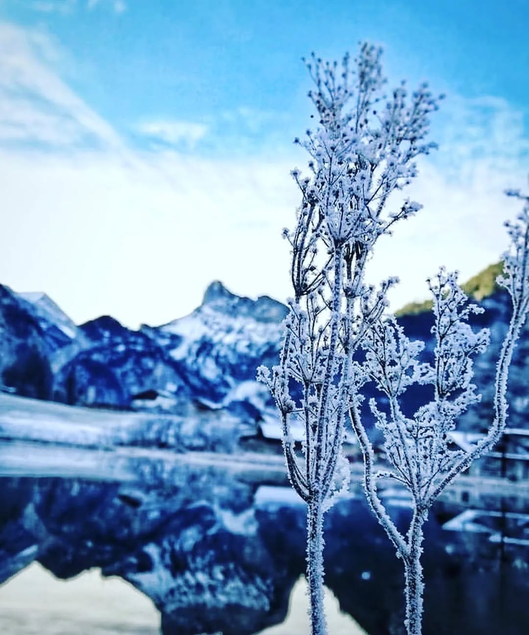 Post 9 by HEDI RIAHI on Instagram (image)