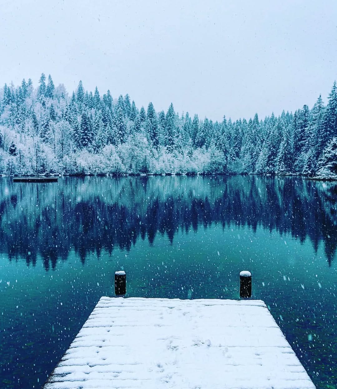Post 6 by HEDI RIAHI on Instagram (image)