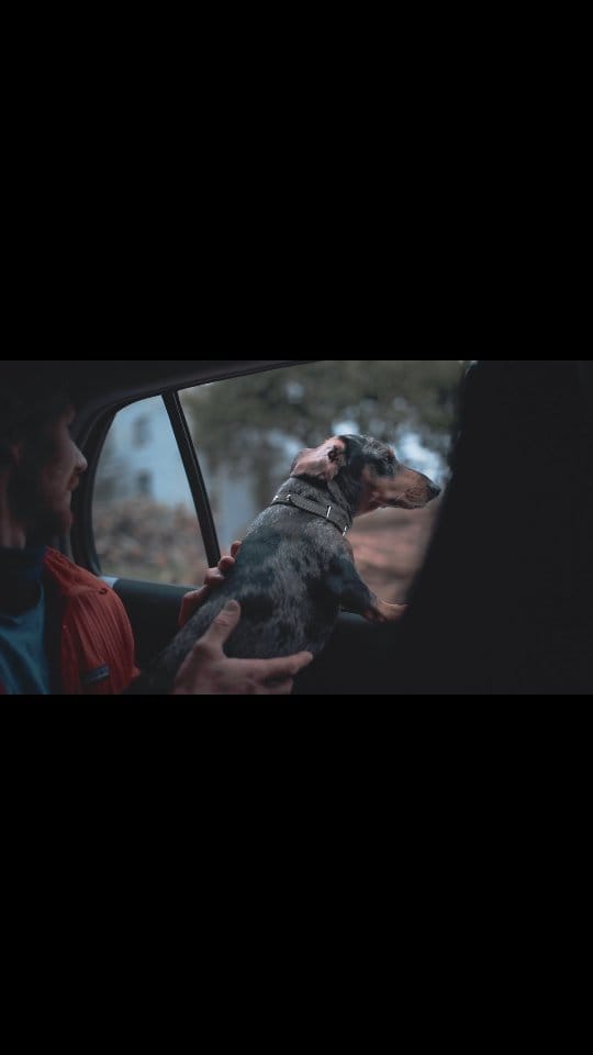 Post 7 by Aurelien Buttin on Instagram (video)