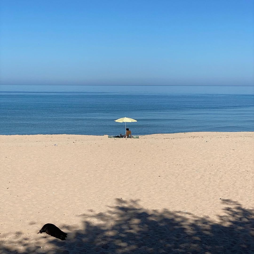 Post 7 by Hatice Uzun on Instagram (image)