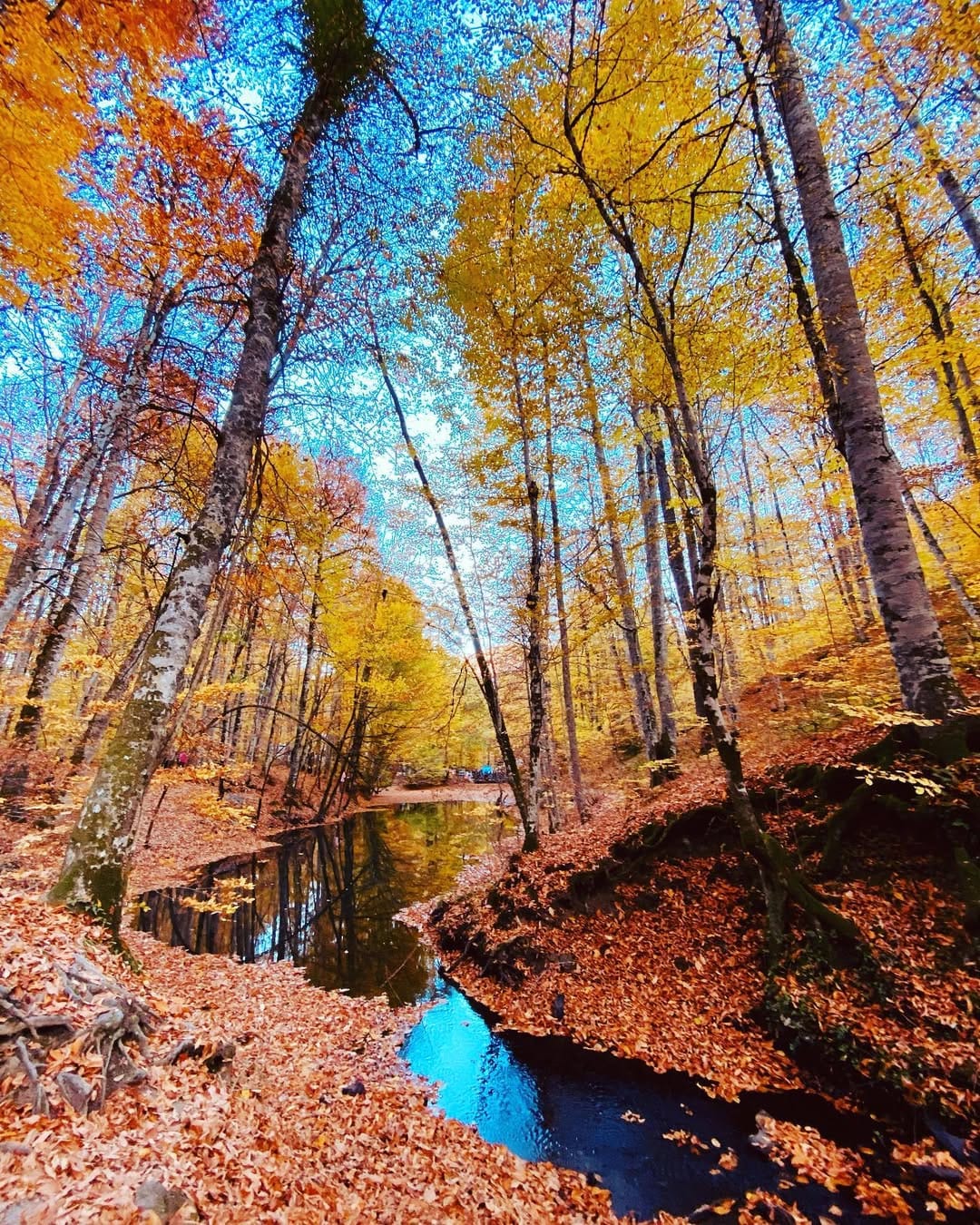 Post 6 by Hatice Uzun on Instagram (image)