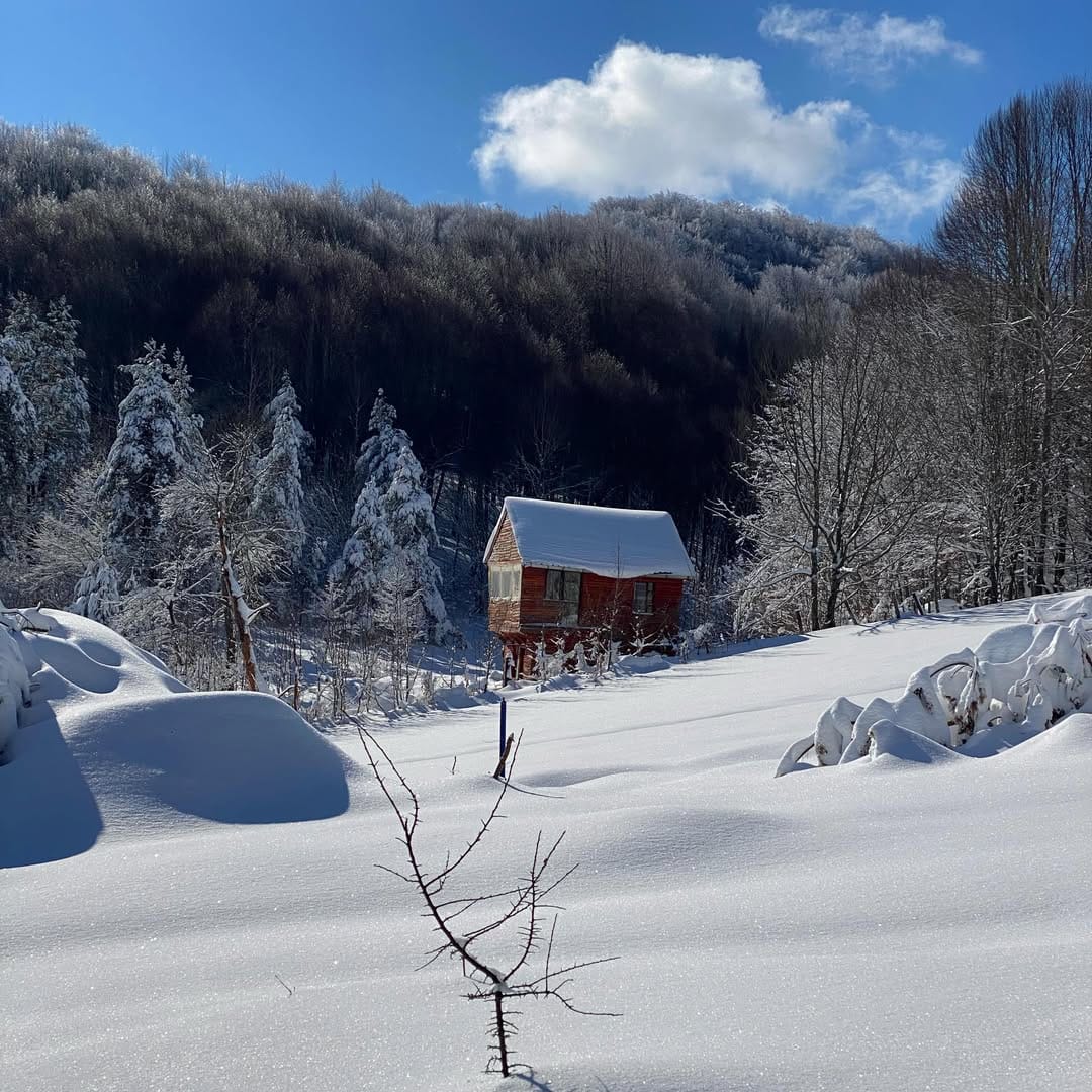 Post 4 by Hatice Uzun on Instagram (image)