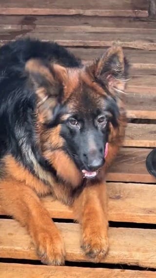 Post 9 by Dawson Nyange on Instagram (video)