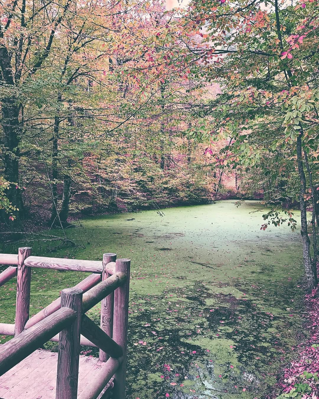 Post 7 by Yeliz on Instagram (image)
