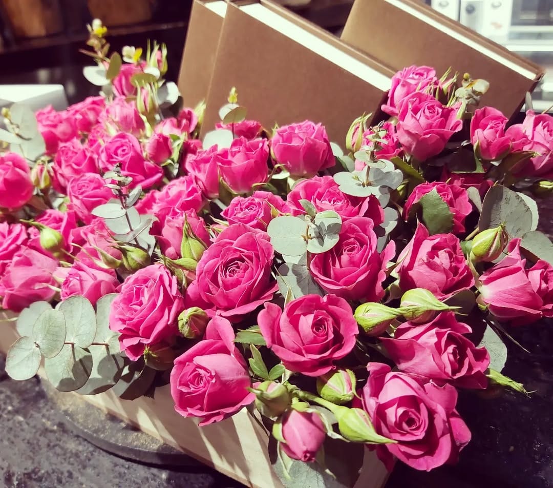 Post 7 by House Of Thistle 🍃زهور ثيستيل on Instagram (image)