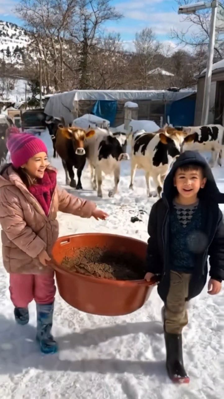 Post 1 by Önder Koca on Instagram (video)