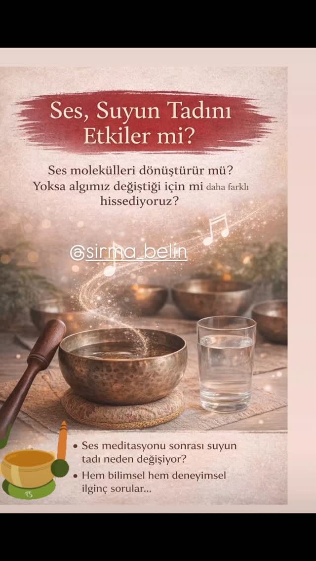 Post 3 by Sırma Belin on Instagram (video)