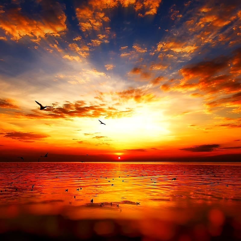 Post 3 by Mr. Cherrycake on Instagram (image)