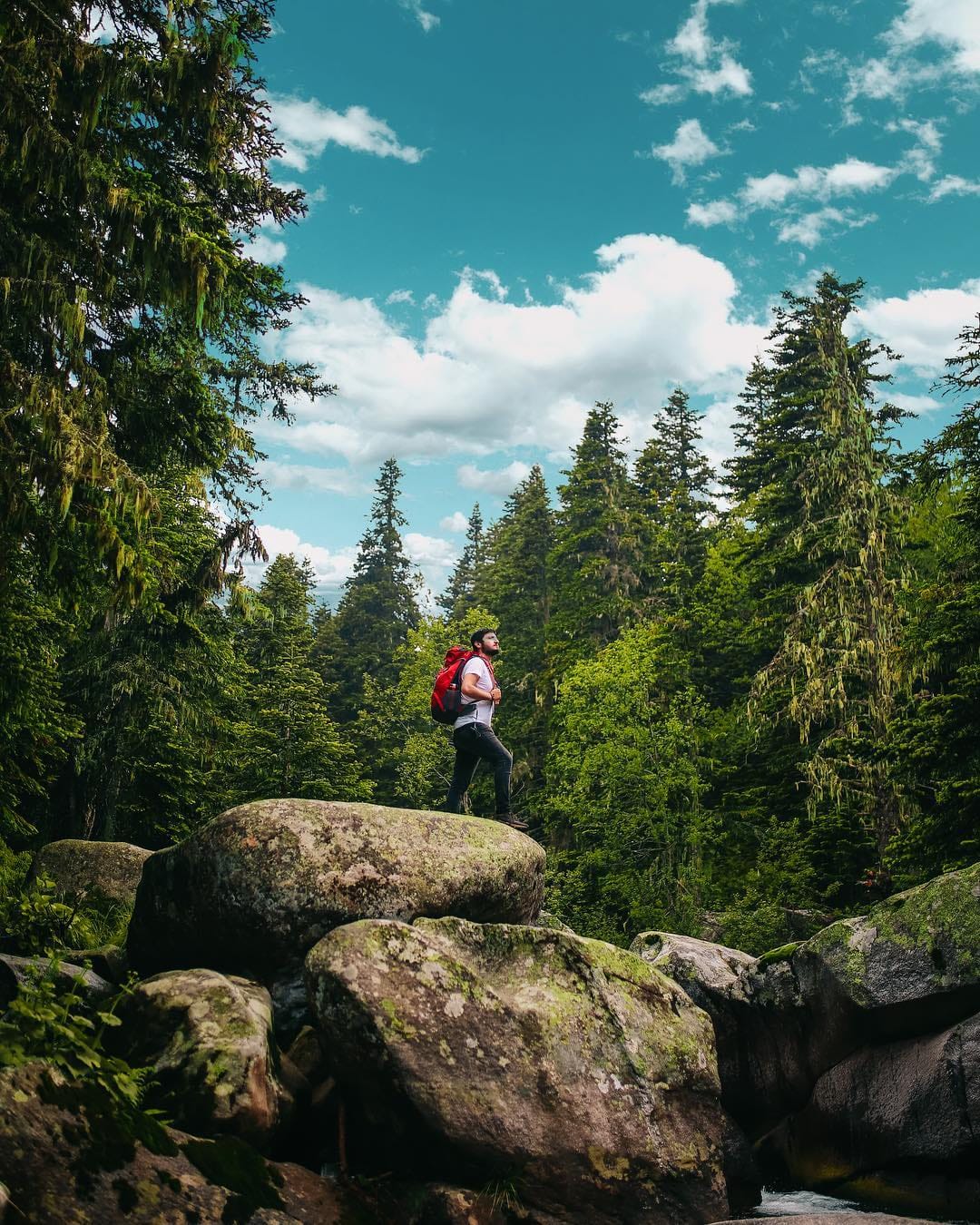 Post 10 by Murat SEVİM on Instagram (image)