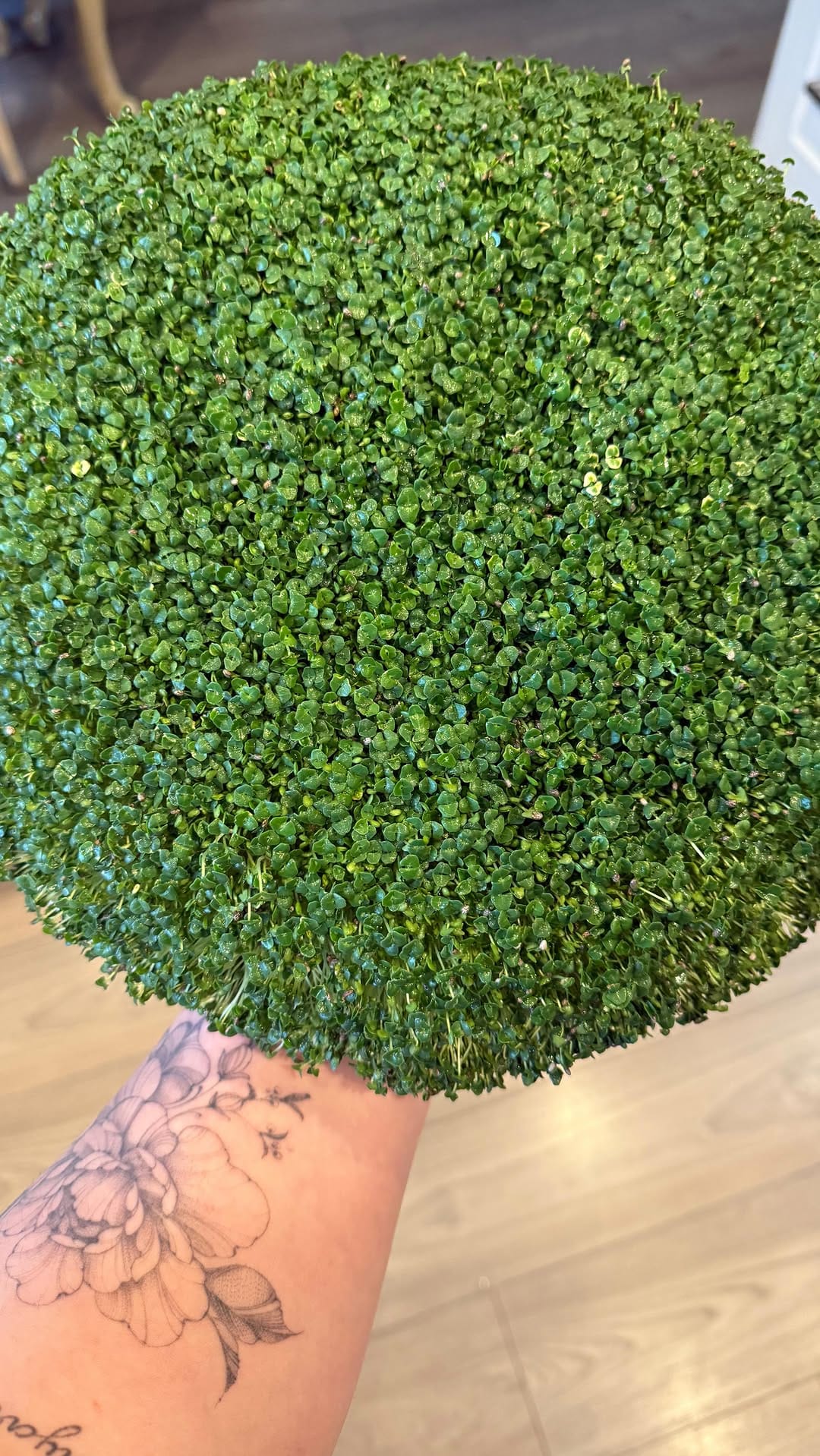 Post 10 by Simin on Instagram (video)