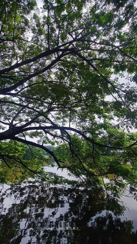 Post 7 by TUSHAR SHARMA🇮🇳 on Instagram (video)