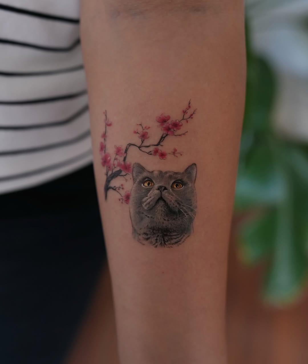 Post 8 by Tarık Çelik on Instagram (image)