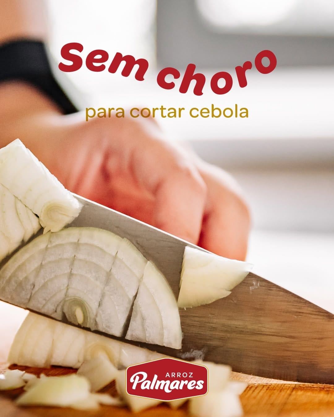 Post 6 by Arroz Palmares on Instagram (image)