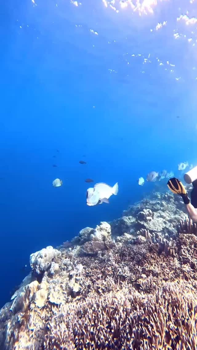 Post 5 by Sevinç Akar on Instagram (video)