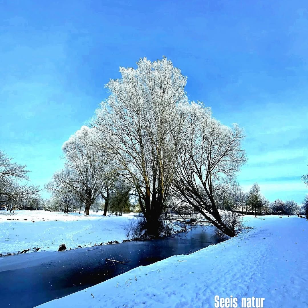 Post 10 by Seris natur on Instagram (image)