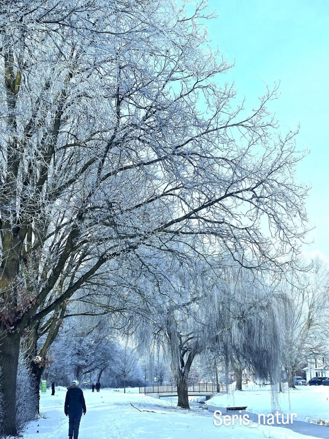 Post 1 by Seris natur on Instagram (image)