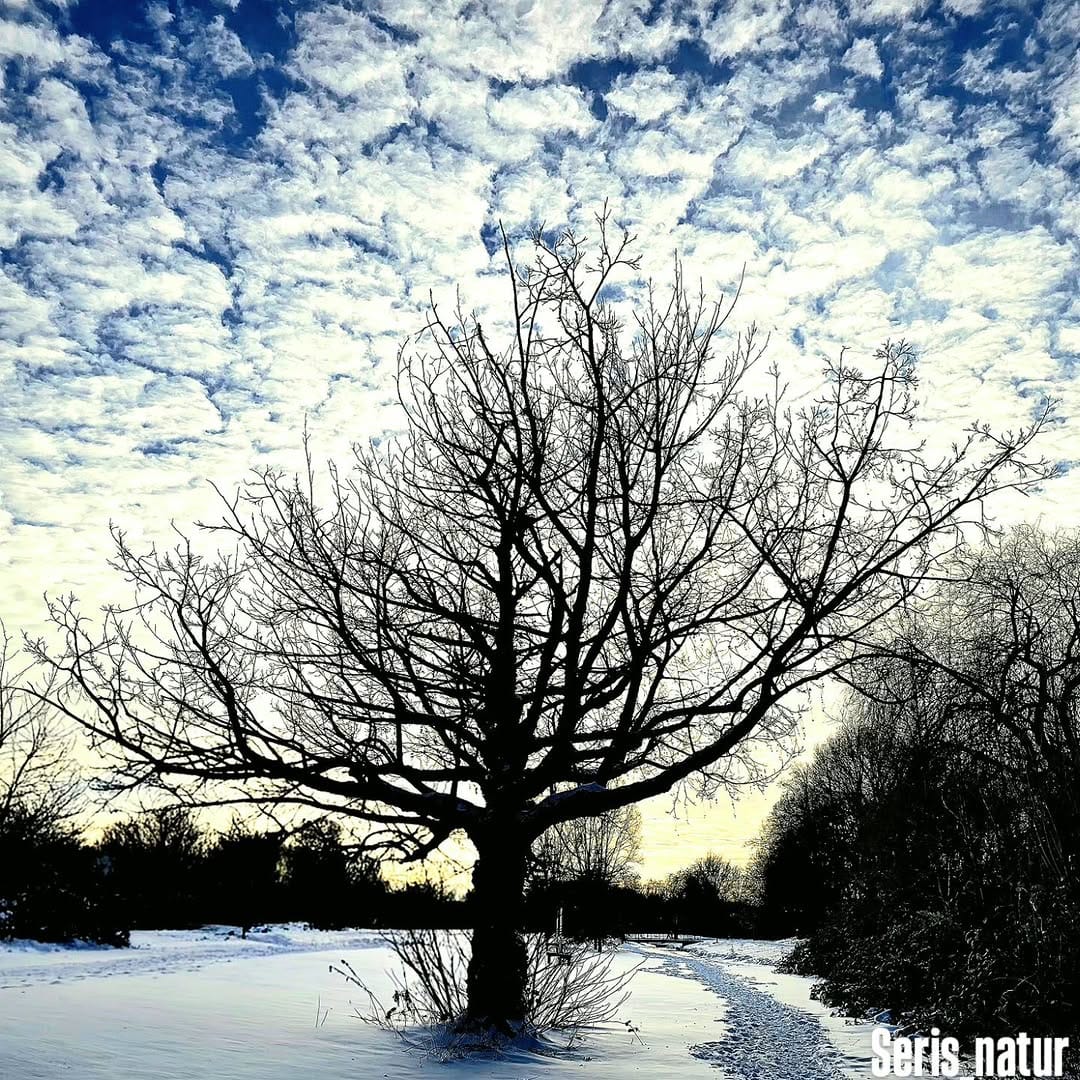 Post 6 by Seris natur on Instagram (image)