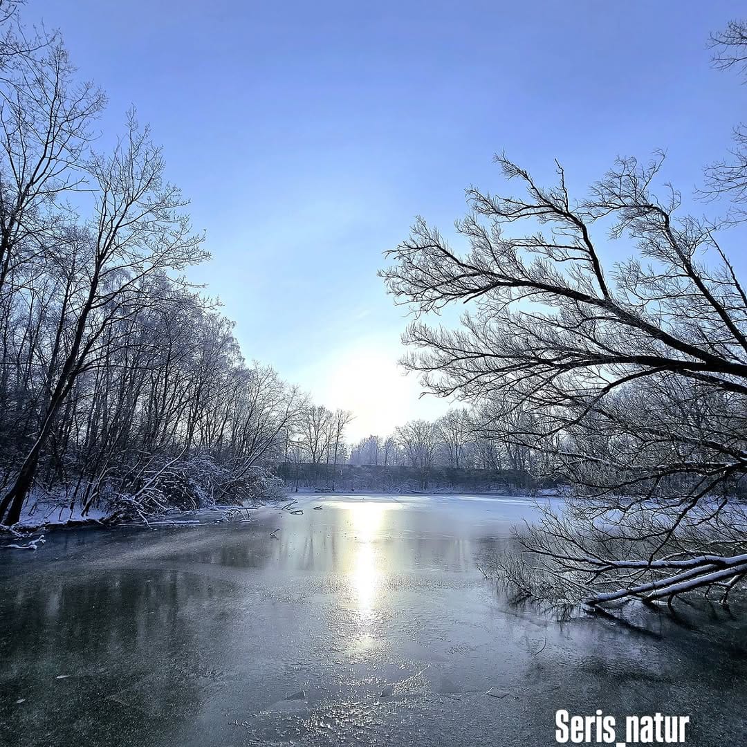 Post 8 by Seris natur on Instagram (image)