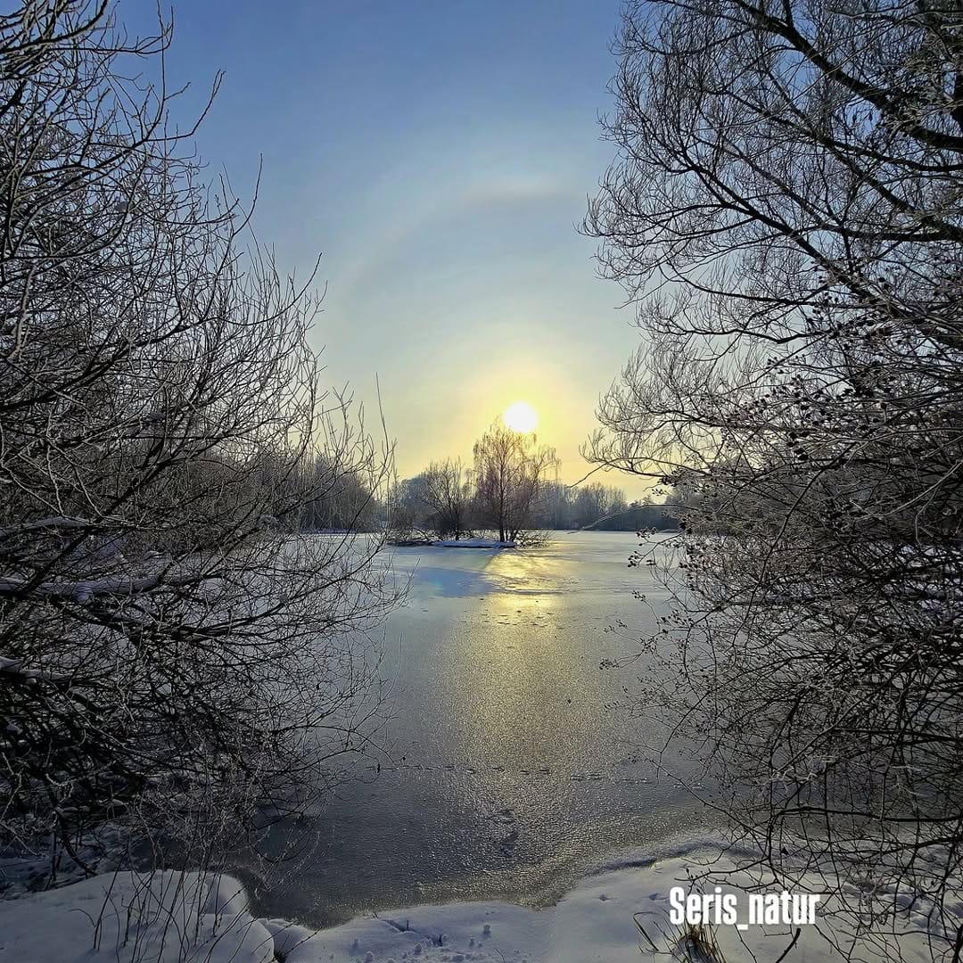 Post 7 by Seris natur on Instagram (image)