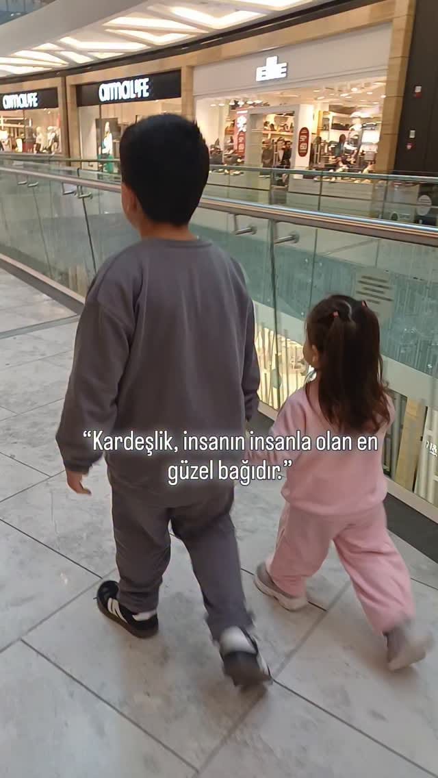 Post 6 by Ceyda Turan on Instagram (video)