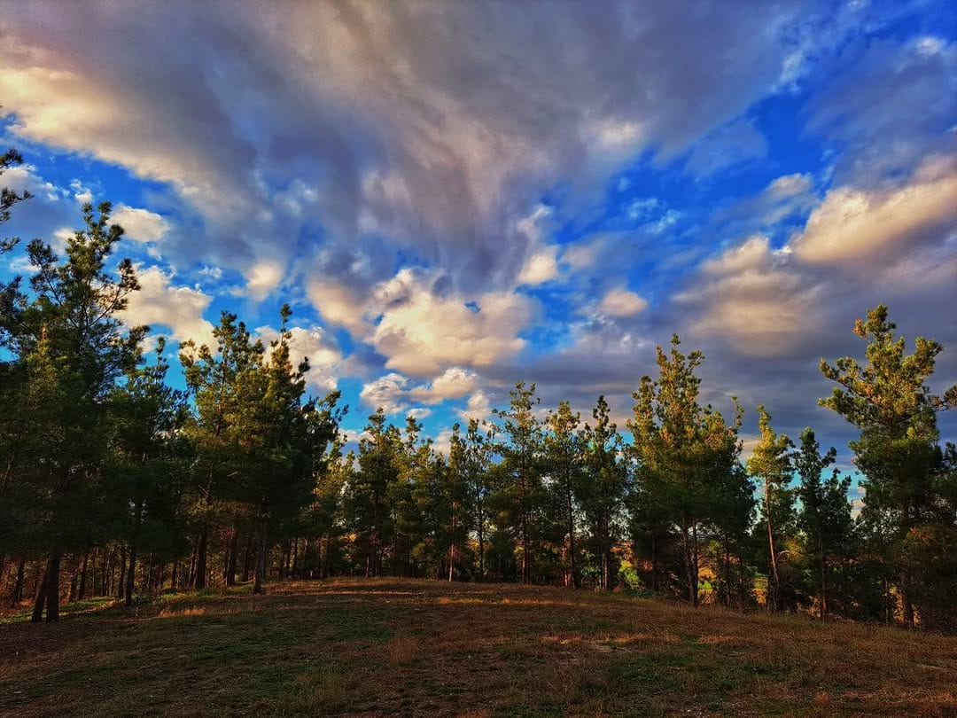 Post 3 by 𝒜𝓃𝓉ℴ𝓁ℯ𝓃𝒶'𝓈 𝒫𝒽ℴ𝓉ℴ𝓈 on Instagram (image)