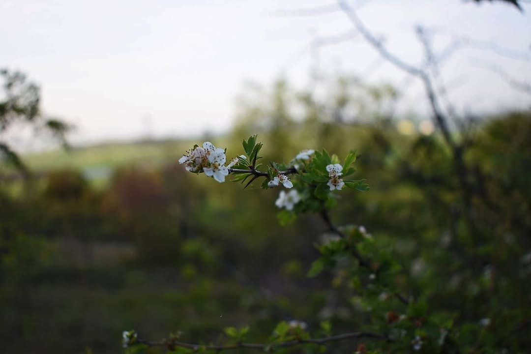 Post 5 by 𝒜𝓃𝓉ℴ𝓁ℯ𝓃𝒶'𝓈 𝒫𝒽ℴ𝓉ℴ𝓈 on Instagram (image)