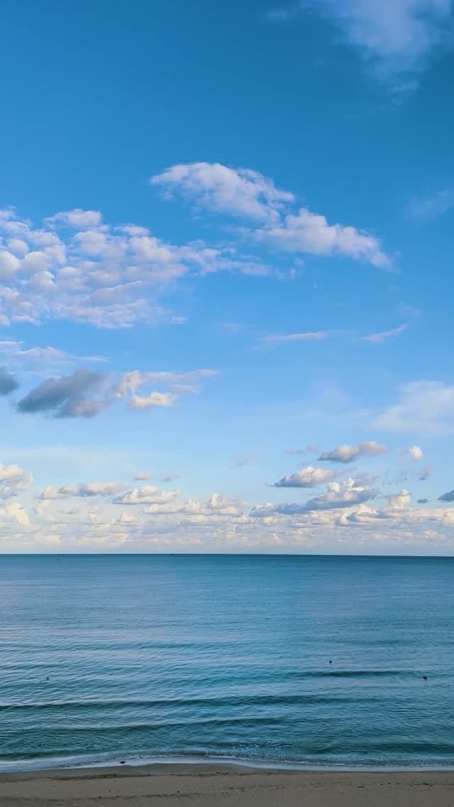 Post 5 by Nil Erdoğan Dinç on Instagram (video)