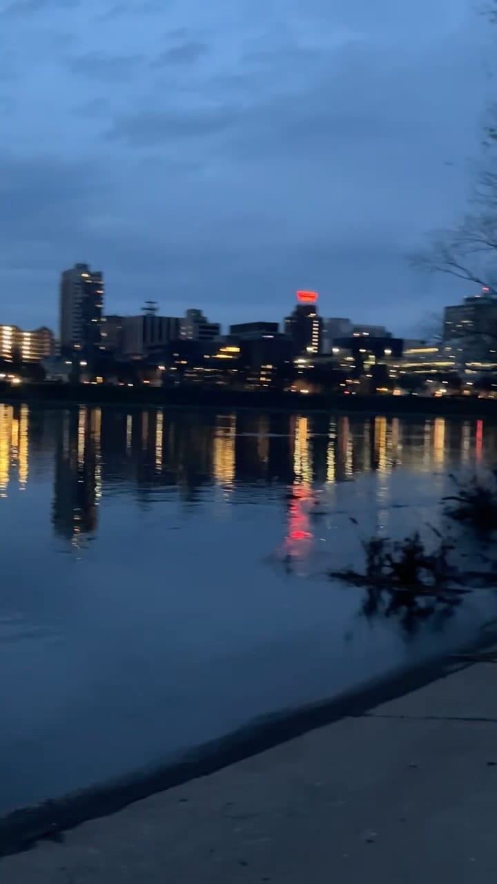 Post 5 by laila bb on Instagram (video)