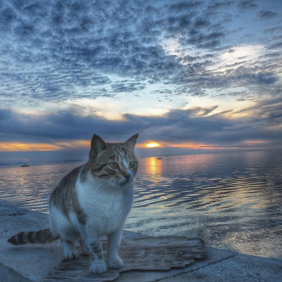 Post 1 by Erhan Haciisaoglu on Instagram (image)