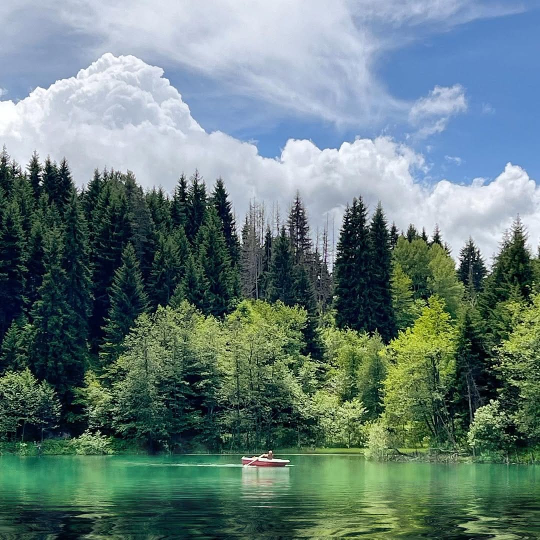 Post 10 by Erhan Haciisaoglu on Instagram (image)