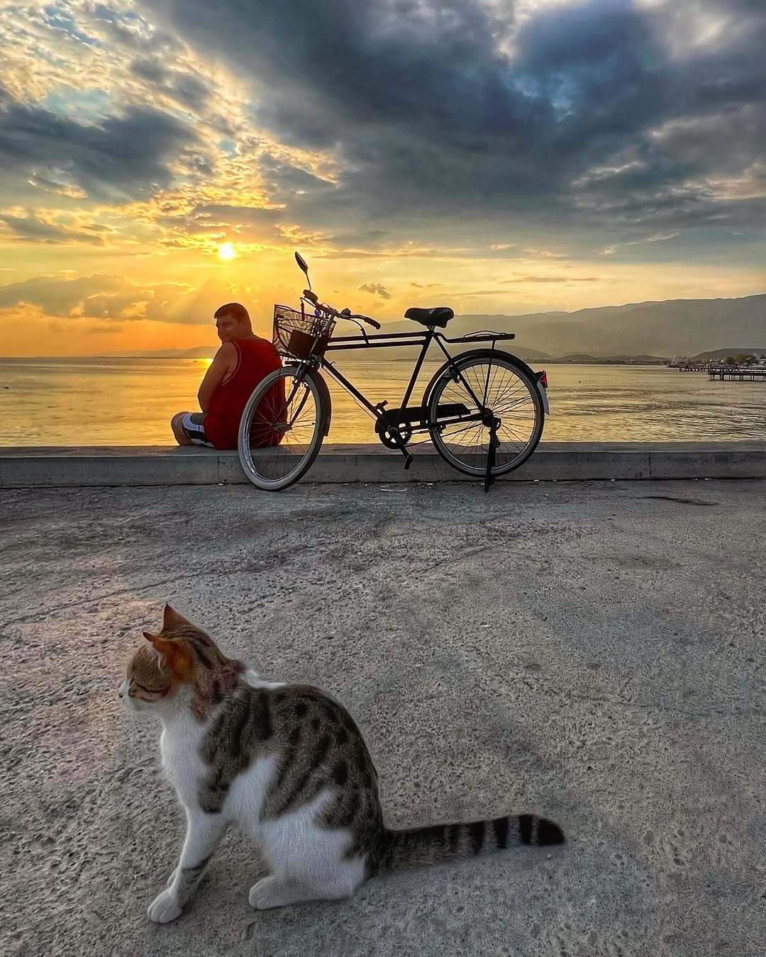 Post 7 by Erhan Haciisaoglu on Instagram (image)