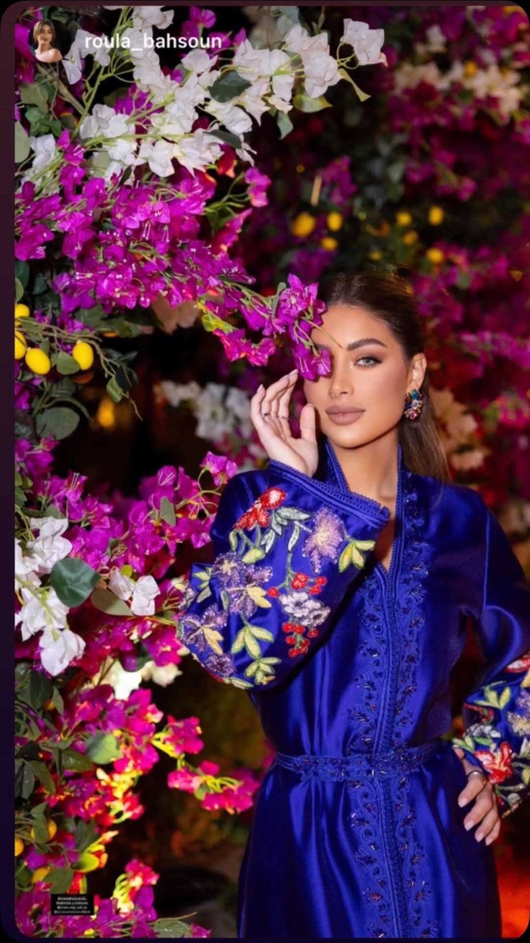 Post 10 by Siham Hajji (سهام حجي) on Instagram (video)
