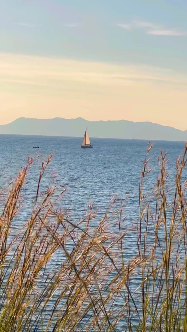 Post 4 by Mselcukoglu on Instagram (video)