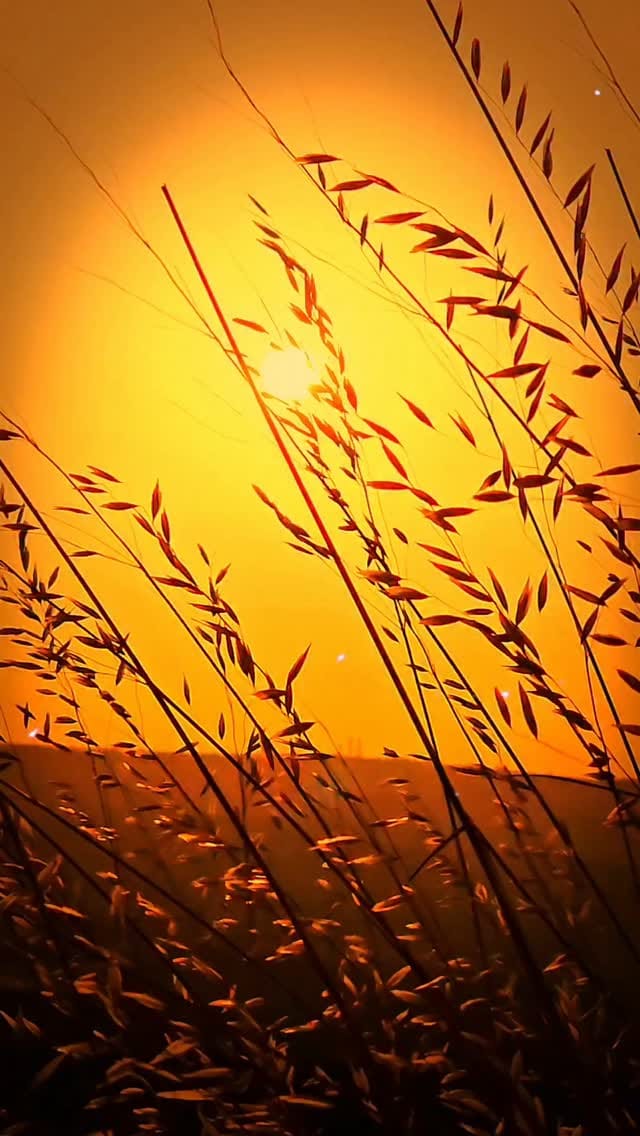 Post 6 by OradaBirYer on Instagram (video)