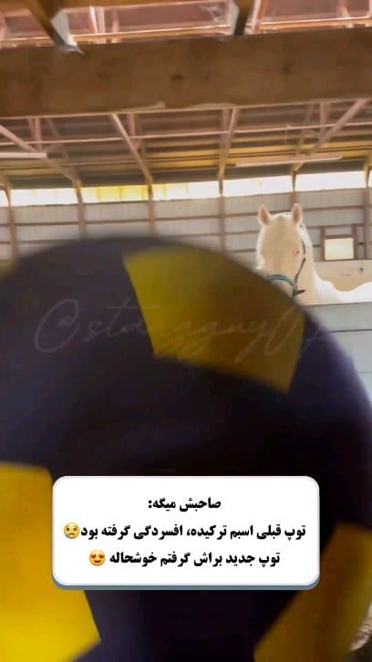 Post 2 by aydinmaraghali on Instagram (video)