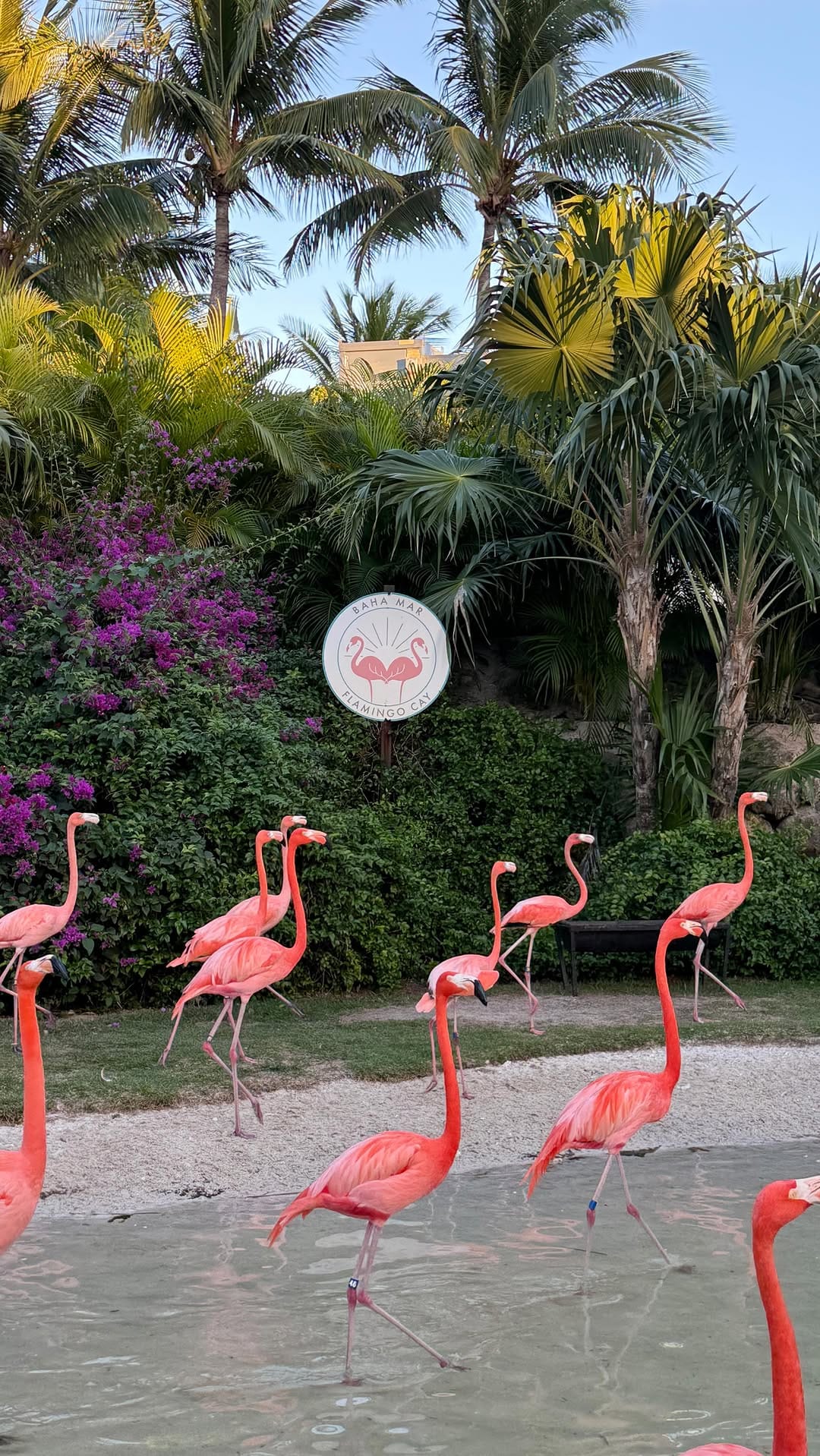 Post 6 by Tatiana da Silva - Dubai blogger on Instagram (video)