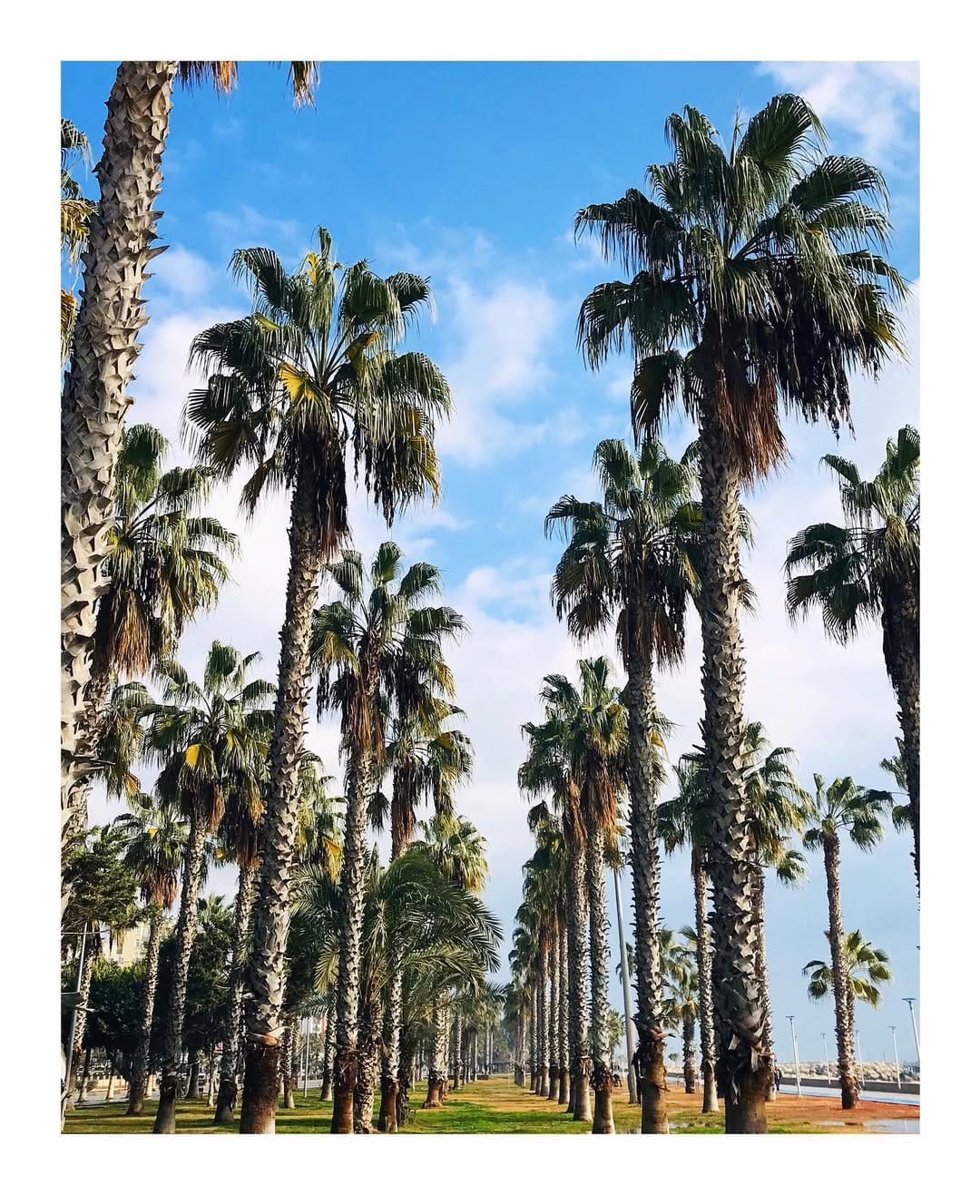 Post 1 by Ercan ERDEN on Instagram (image)